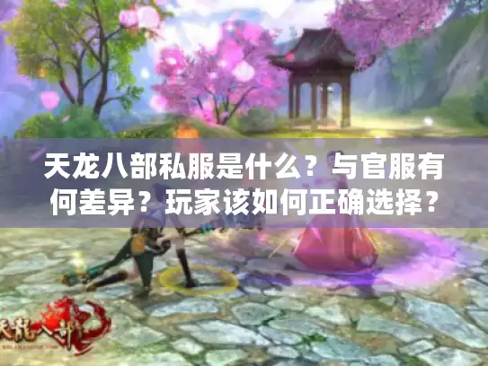 天龙八部私服是什么？与官服有何差异？玩家该如何正确选择？