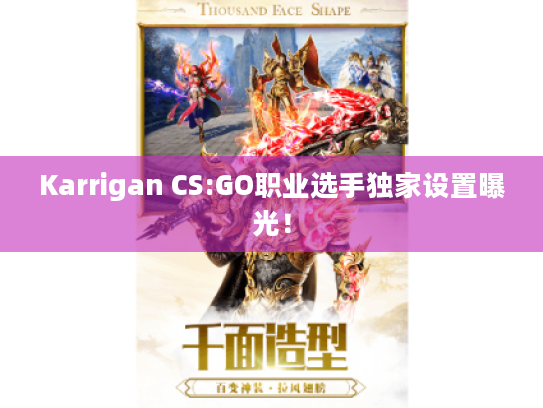 Karrigan CS:GO职业选手独家设置曝光！