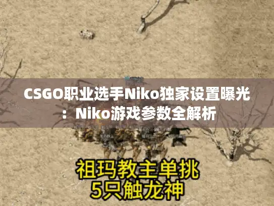 CSGO职业选手Niko独家设置曝光:Niko游戏参数全解析 CSGO职业选手Niko独家设置曝光:Niko游戏参数全解析