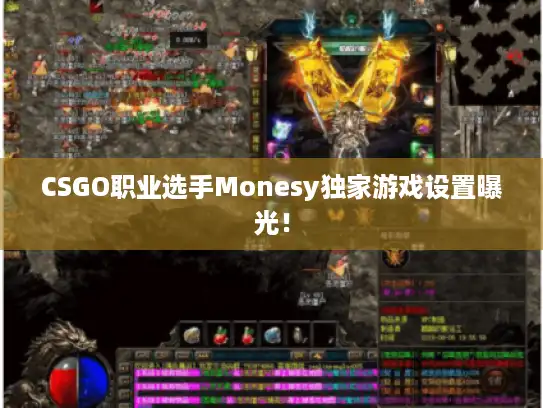 CSGO职业选手Monesy独家游戏设置曝光! CSGO职业选手Monesy独家游戏设置曝光!
