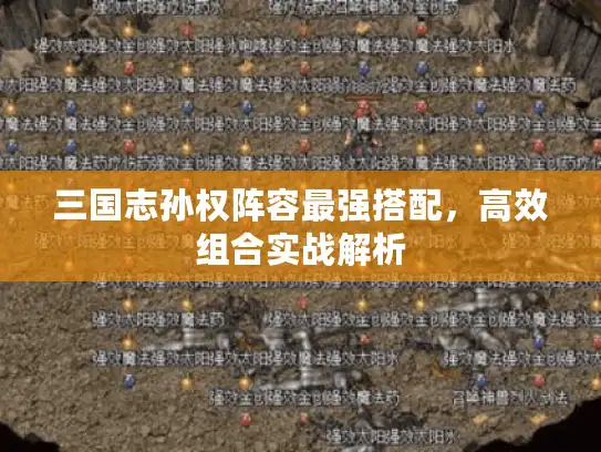 三国志孙权阵容最强搭配,高效组合实战解析 三国志孙权阵容最强搭配,高效组合实战解析