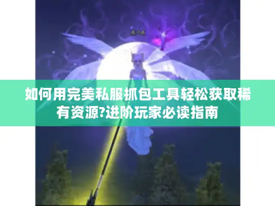 如何用完美私服抓包工具轻松获取稀有资源?进阶玩家必读指南