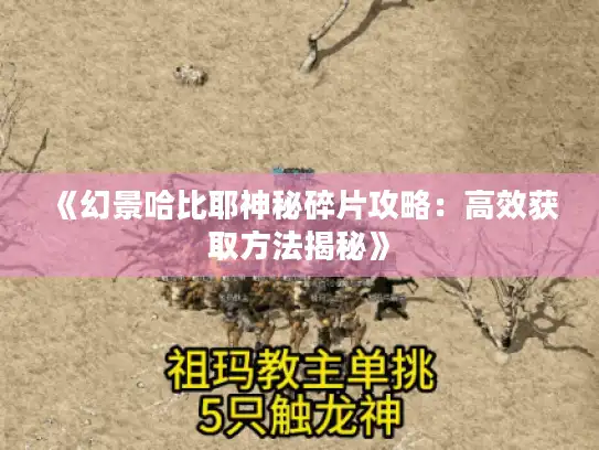 《幻景哈比耶神秘碎片攻略：高效获取方法揭秘》