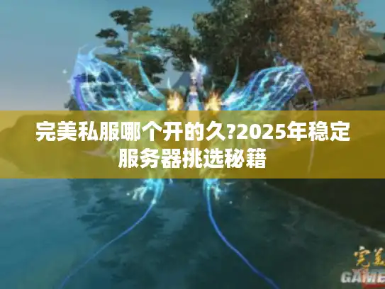 完美私服哪个开的久?2025年稳定服务器挑选秘籍