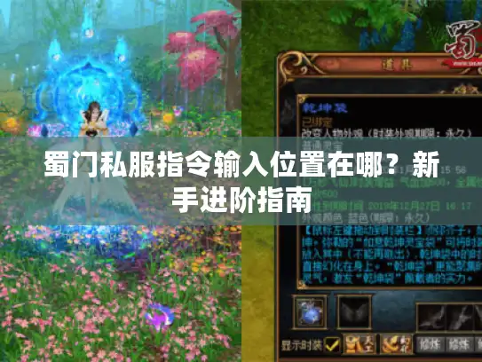 蜀门私服指令输入位置在哪?新手进阶指南 蜀门私服指令输入位置在哪?新手进阶指南
