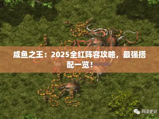 咸鱼之王：2025全红阵容攻略，最强搭配一览！