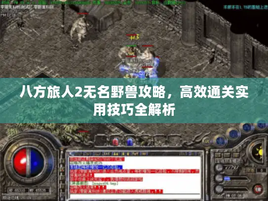 八方旅人2无名野兽攻略，高效通关实用技巧全解析