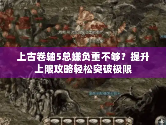 上古卷轴5总嫌负重不够？提升上限攻略轻松突破极限