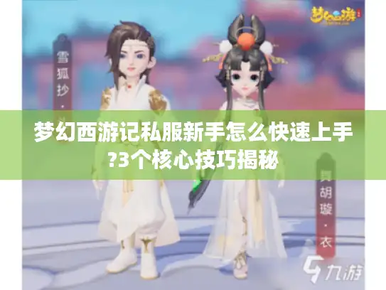 梦幻西游记私服新手怎么快速上手?3个核心技巧揭秘