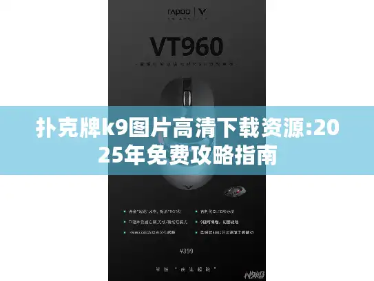 扑克牌k9图片高清下载资源:2025年免费攻略指南