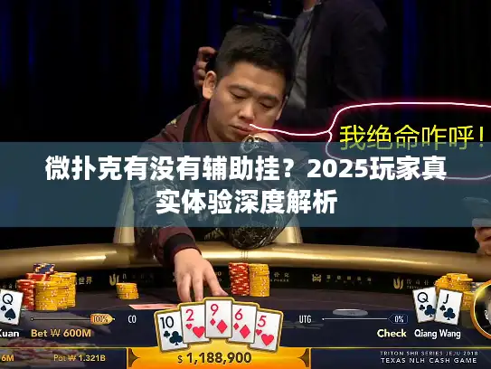 微扑克有没有辅助挂？2025玩家真实体验深度解析