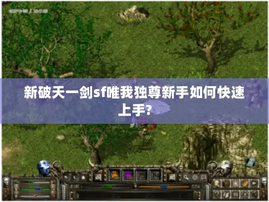 新破天一剑sf唯我独尊新手如何快速上手?