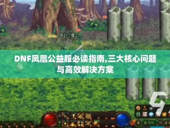 DNF凤凰公益服必读指南,三大核心问题与高效解决方案