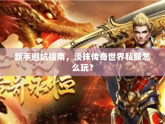 新手避坑指南，淡抹传奇世界私服怎么玩？
