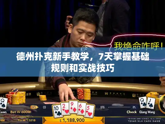 德州扑克新手教学，7天掌握基础规则和实战技巧