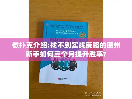 微扑克介绍:找不到实战策略的德州新手如何三个月提升胜率?