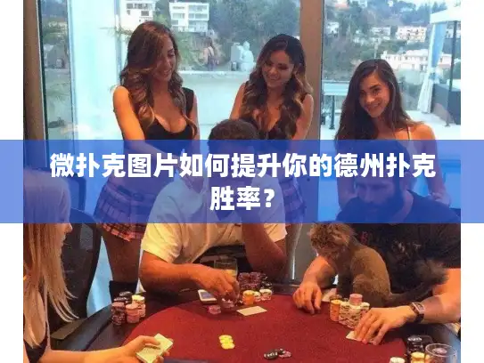 微扑克图片如何提升你的德州扑克胜率？