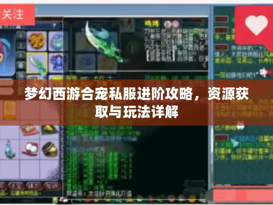 梦幻西游合宠私服进阶攻略，资源获取与玩法详解