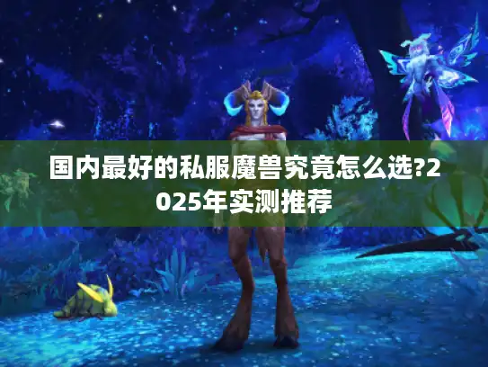 国内最好的私服魔兽究竟怎么选?2025年实测推荐