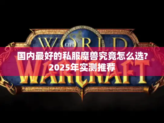 国内最好的私服魔兽究竟怎么选?2025年实测推荐