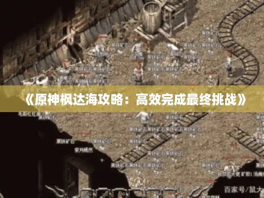 《原神枫达海攻略：高效完成最终挑战》