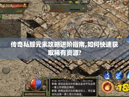 传奇私服元素攻略进阶指南,如何快速获取稀有资源?