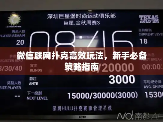 微信联网扑克高效玩法，新手必备策略指南