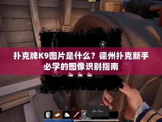 扑克牌K9图片是什么？德州扑克新手必学的图像识别指南