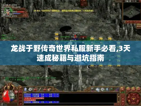 龙战于野传奇世界私服新手必看,3天速成秘籍与避坑指南
