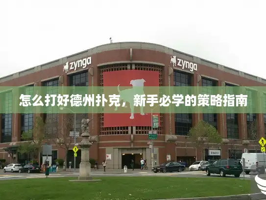 怎么打好德州扑克，新手必学的策略指南