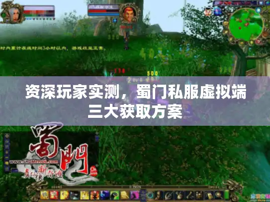 资深玩家实测，蜀门私服虚拟端三大获取方案