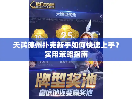 天鸿德州扑克新手如何快速上手？实用策略指南