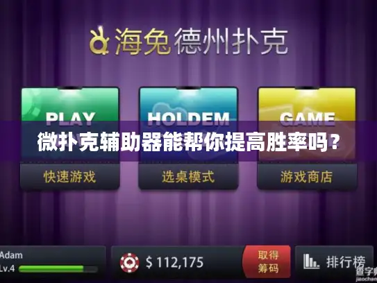 微扑克辅助器能帮你提高胜率吗？