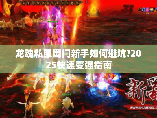 龙魂私服蜀门新手如何避坑?2025快速变强指南