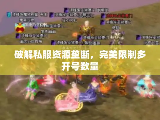 破解私服资源垄断，完美限制多开号数量