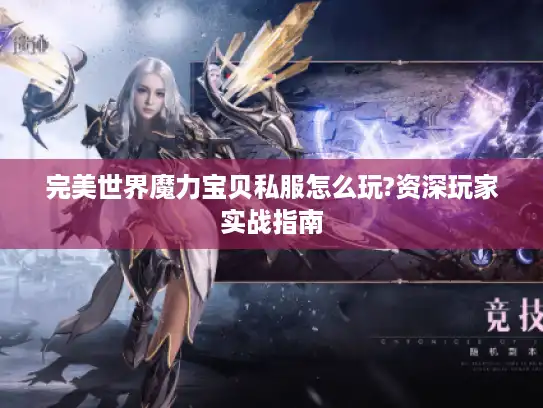 完美世界魔力宝贝私服怎么玩?资深玩家实战指南