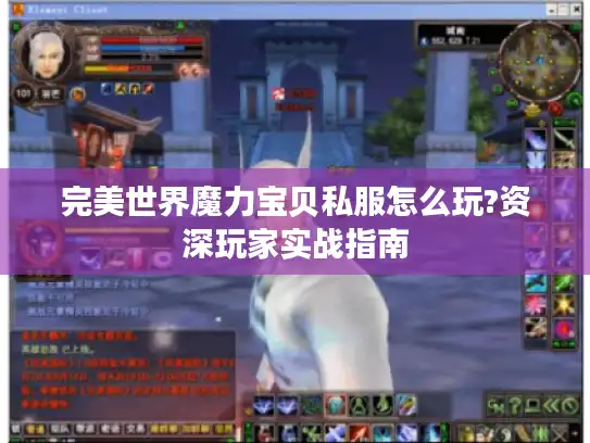 完美世界魔力宝贝私服怎么玩?资深玩家实战指南