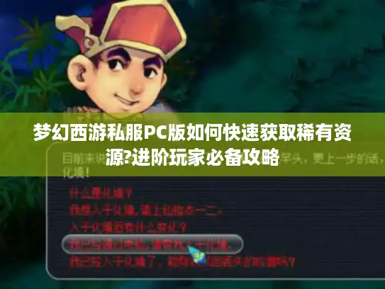 梦幻西游私服PC版如何快速获取稀有资源?进阶玩家必备攻略