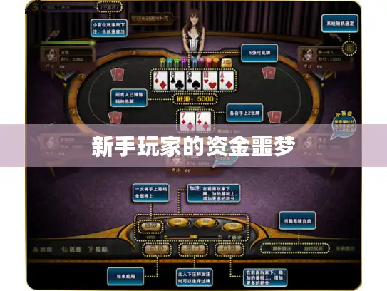 新手玩家的资金噩梦 新手玩家的资金噩梦