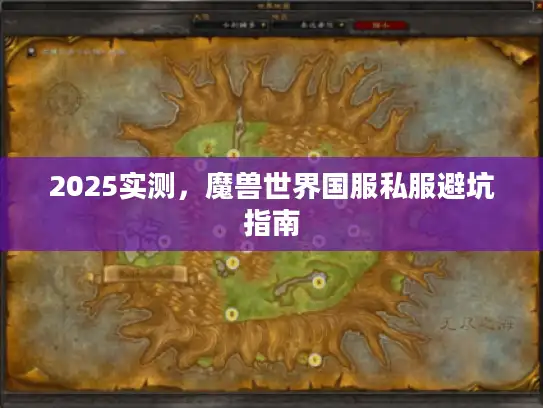 2025实测，魔兽世界国服私服避坑指南