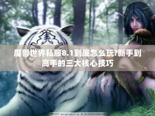 魔兽世界私服8.1到底怎么玩?新手到高手的三大核心技巧