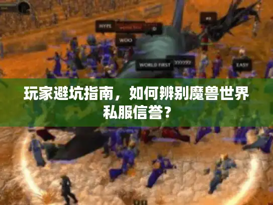玩家避坑指南，如何辨别魔兽世界私服信誉？