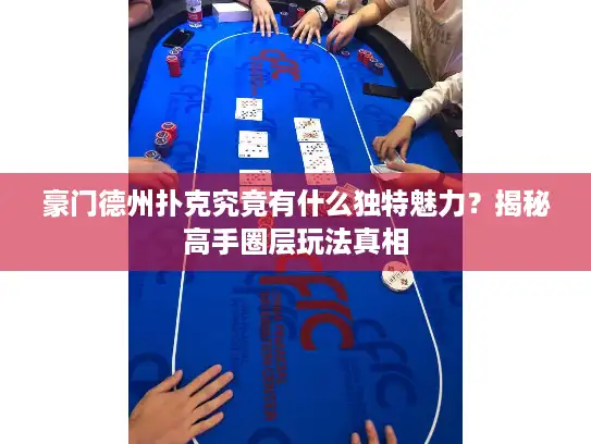 豪门德州扑克究竟有什么独特魅力？揭秘高手圈层玩法真相
