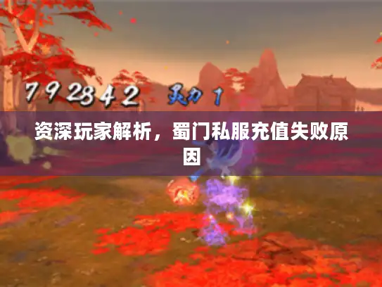 资深玩家解析,蜀门私服充值失败原因 资深玩家解析,蜀门私服充值失败原因