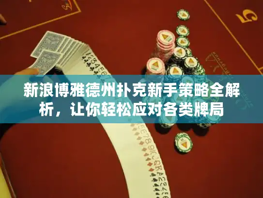 新浪博雅德州扑克新手策略全解析，让你轻松应对各类牌局