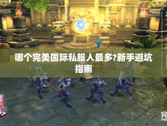 哪个完美国际私服人最多?新手避坑指南