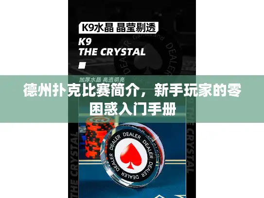 德州扑克比赛简介，新手玩家的零困惑入门手册