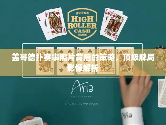 盖哥德扑赛事照片背后的策略，顶级牌局影像解析