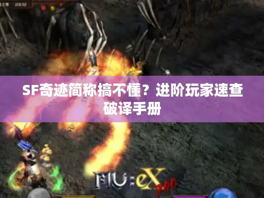 SF奇迹简称搞不懂？进阶玩家速查破译手册