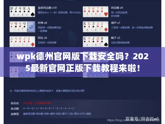 wpk德州官网版下载安全吗？2025最新官网正版下载教程来啦！
